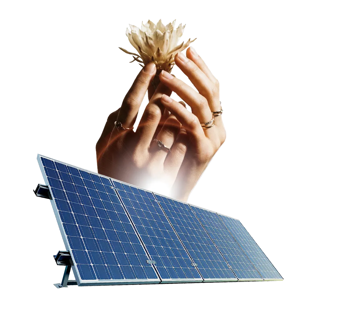 Casas sustentables en venta en los Cabos